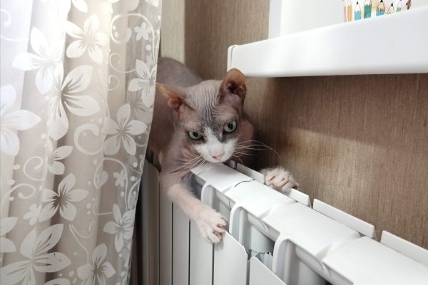 Замена батарей и газовых плит: правовые аспекты и последствия